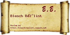 Blesch Bálint névjegykártya